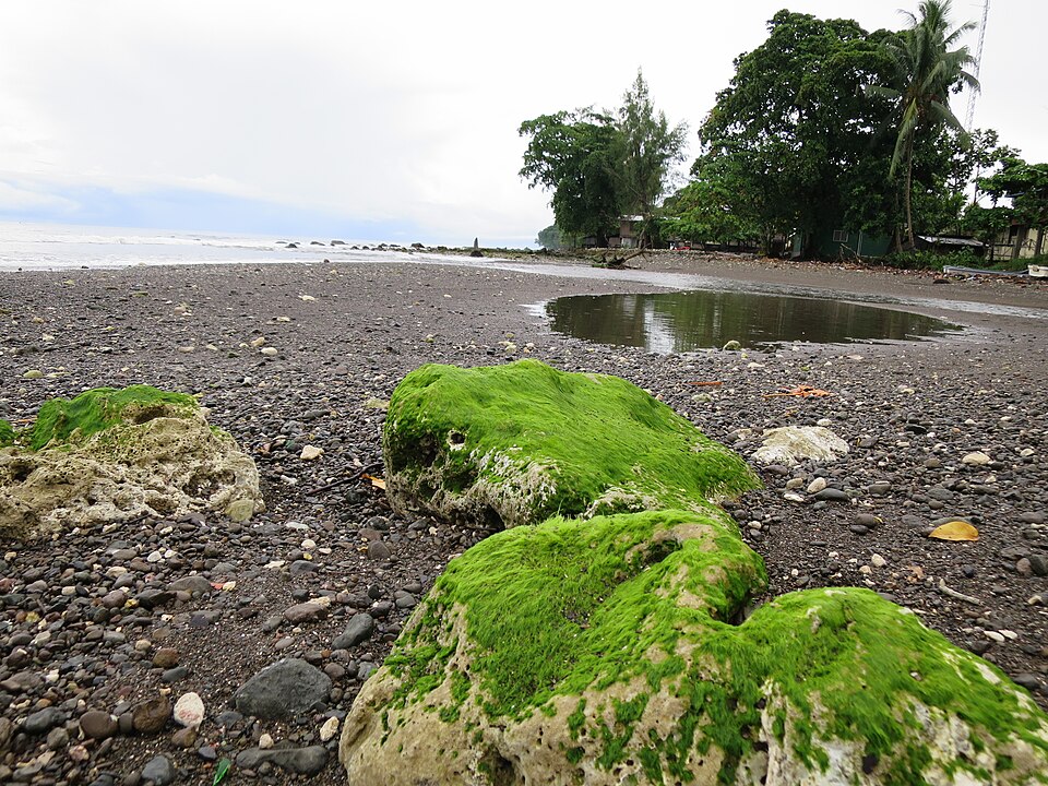 File:Algae Rock at Kirakira Beach.JPG