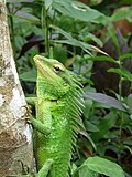 In Kerala
