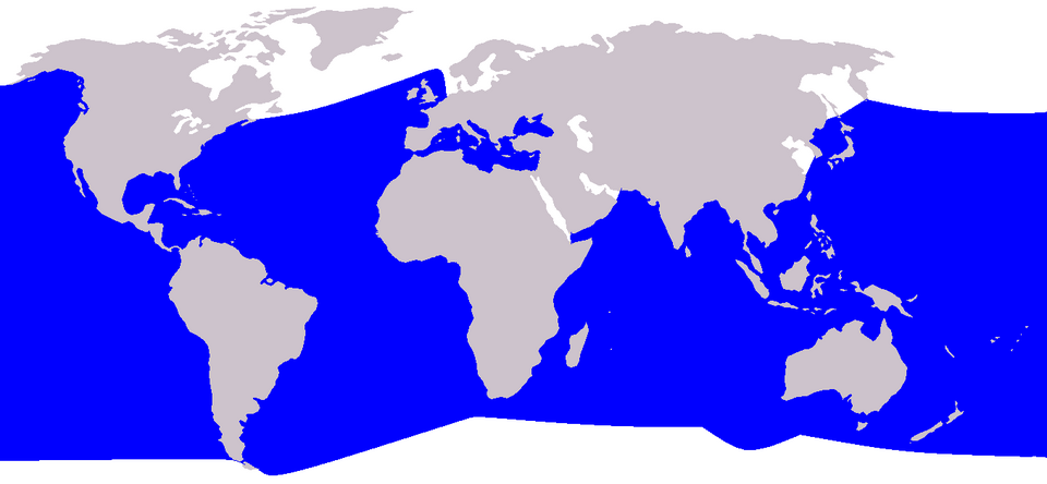 File:Cetacea range map Cuvier's Beaked Whale.PNG