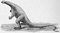 Thumbnail for version as of 15:02, 28 June 2020