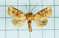 Thumbnail for version as of 16:56, 4 November 2011