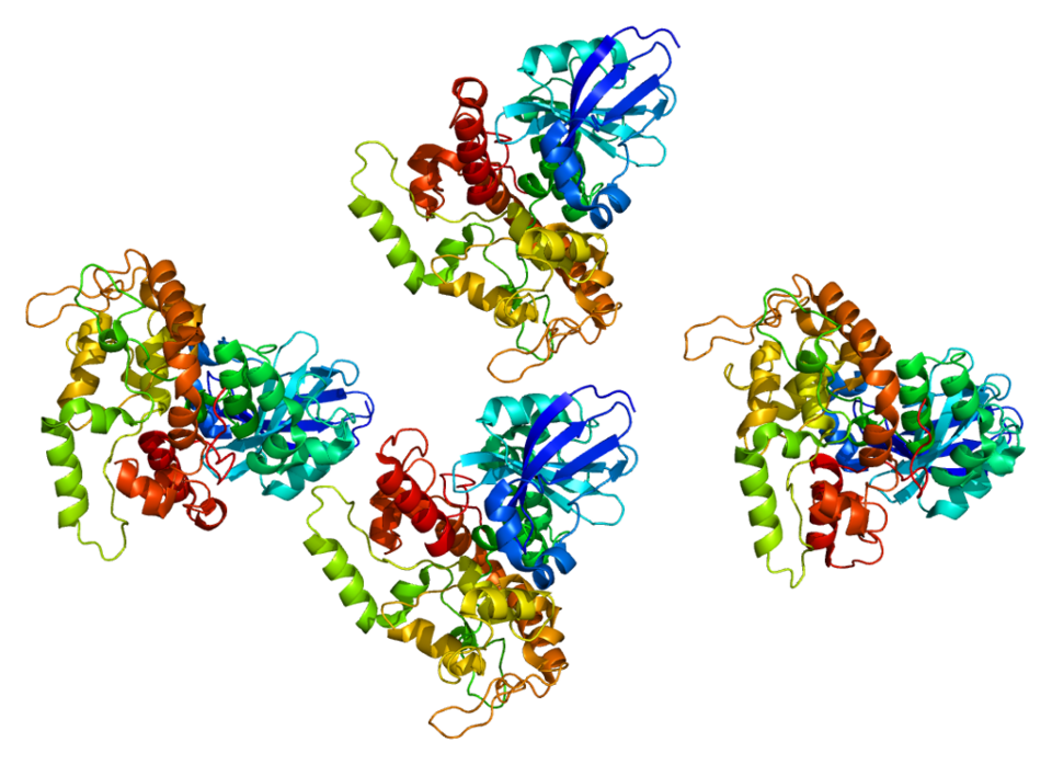 File:Protein LRBA PDB 1t77.png