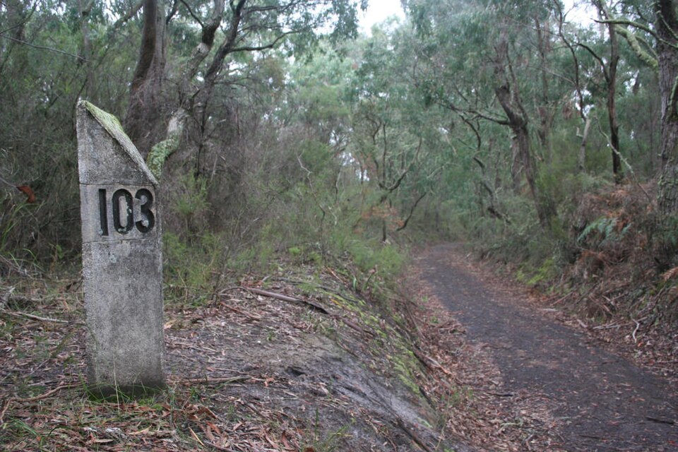 File:Beech forest line 103 miles.jpg