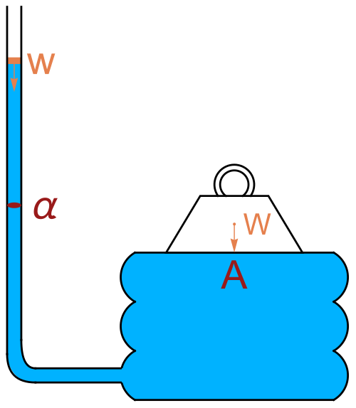 File:Diagram illustrating the hydrostatic paradox.svg