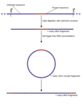 Thumbnail for version as of 21:02, 22 January 2021