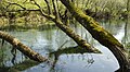 Krupa (Vrbas)