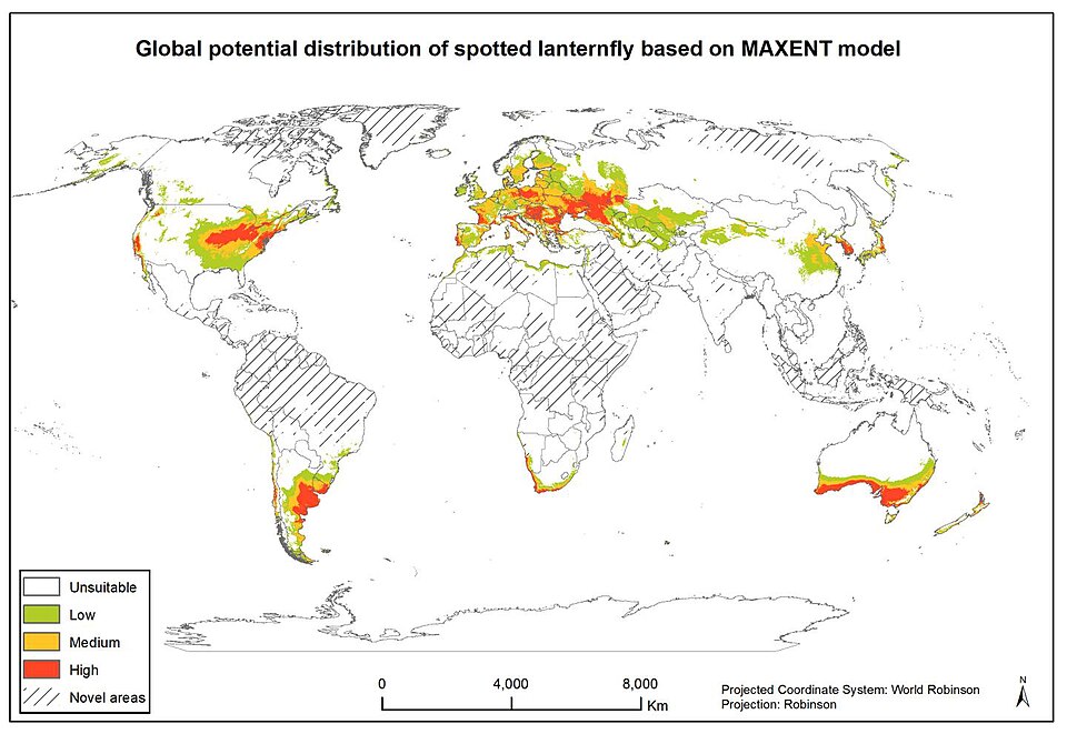 File:Potential Global Distribution of Spotted Lanternfly.jpg