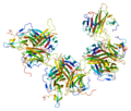 Thumbnail for version as of 08:14, 24 December 2009