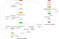 Diameter Authorization State Machines (Client)