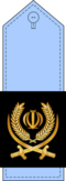 Islamic Republic of Iran Air Force insignia