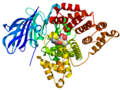 Thumbnail for version as of 21:05, 4 September 2008