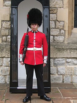 Soldier of the Coldstream Guards