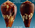 Thumbnail for version as of 03:20, 20 March 2012