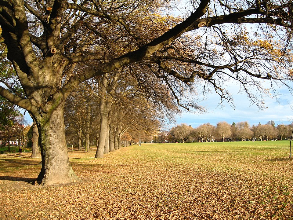 File:HagleyPark01 gobeirne.jpg