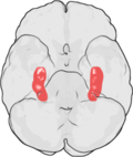 Thumbnail for version as of 04:23, 15 March 2005
