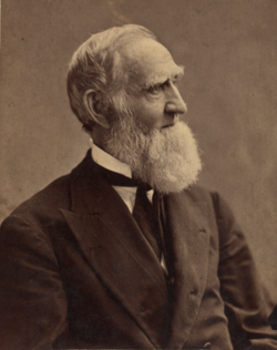 An old man in profile, facing to the left. He has a very bushy beard.