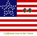 Digital reconstruction of the flag carried by California delegates during Lincoln’s inauguration, 1861 (based on description)