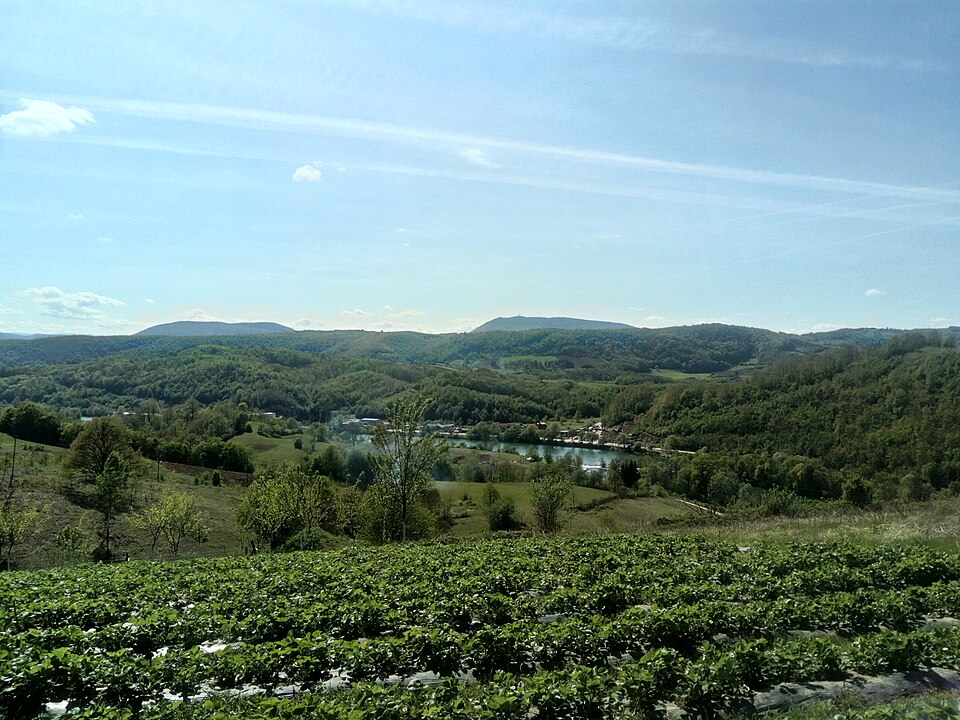 File:Ljusina (23. 4. 2017. - 15-05).jpg