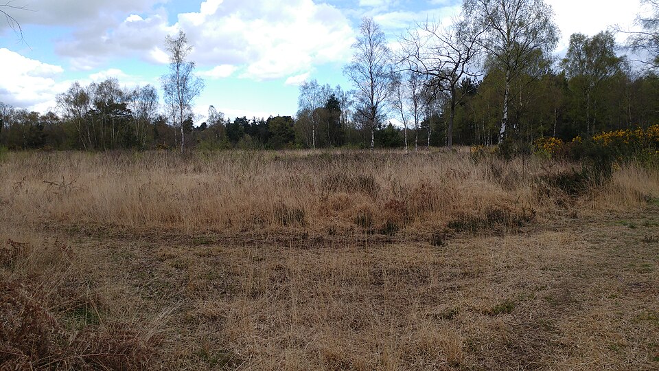 File:Padworth common.jpg