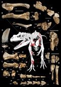 Thumbnail for version as of 14:16, 19 December 2018