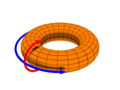 Poloidal (red) and toroidal (blue) spin directions.