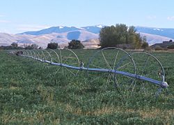 Wheel line irrigation system in Idaho, US, 2001
