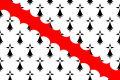 Another flag of Bro Gwened (use this as a base)