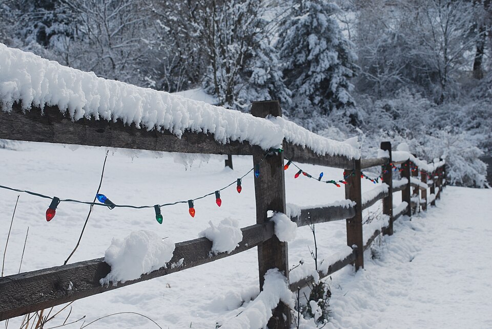 File:Christmas lights strung on snow-covered fence.JPG