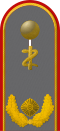Generalarzt(dental medicine)