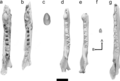 Thumbnail for version as of 13:10, 5 September 2025