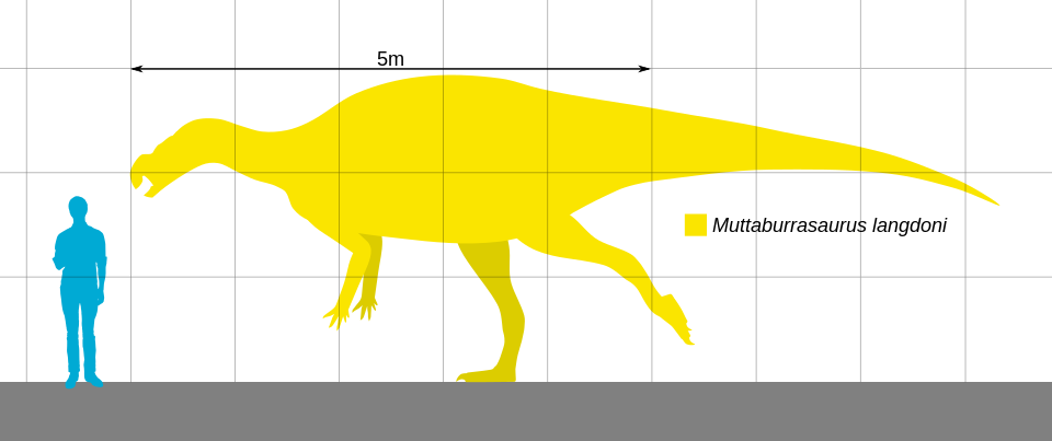 File:Muttaburrasaurus Scale.svg