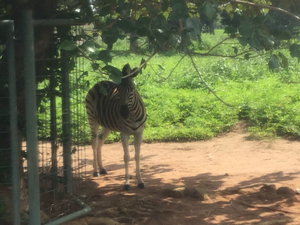 File:National Children's Park, Abuja 4.jpg