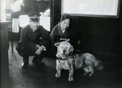 Dog at a train station