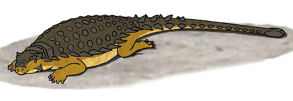 File:Pinacosaurus resting.JPG