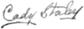 Thumbnail for version as of 01:46, 9 January 2021