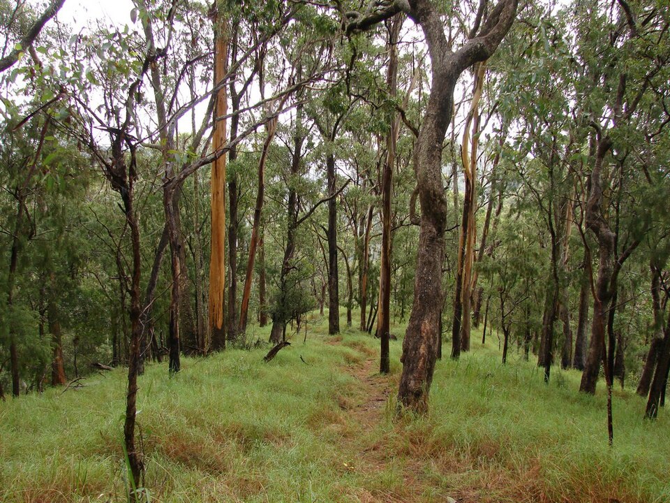 File:Down on the ridge. (3479471781).jpg