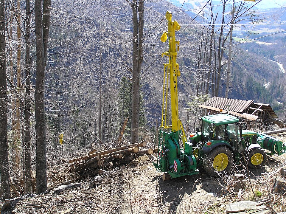 File:Larix3T.JPG