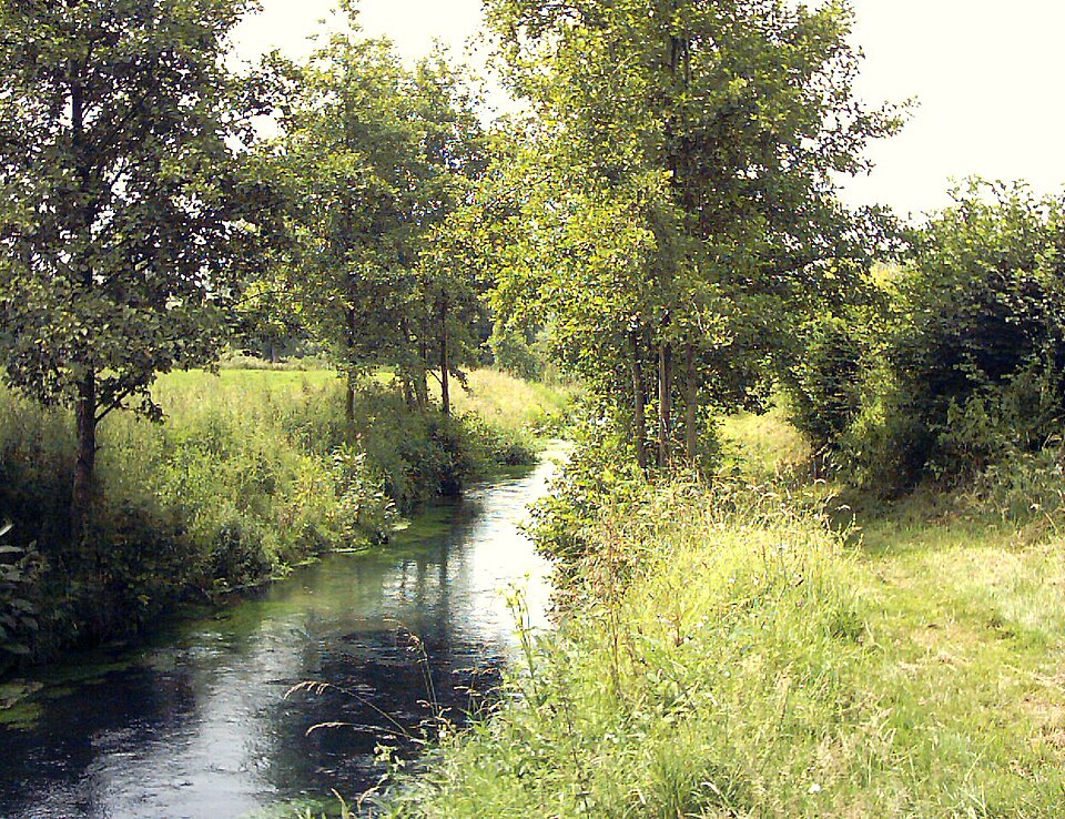 File:LysLugy.JPG