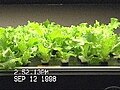Thumbnail for version as of 06:00, 22 June 2012