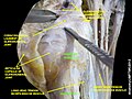 Thumbnail for version as of 09:18, 2 December 2012