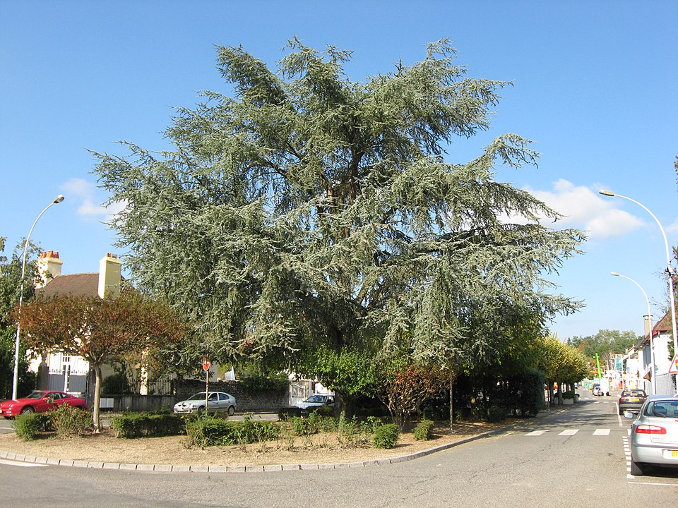 File:Artix rue 001.JPG
