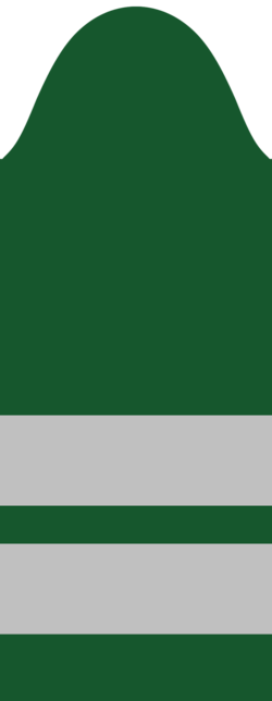 File:Corporal---Army-of-the-Republic-of-Bosnia-and-Herzegovina-1992.png