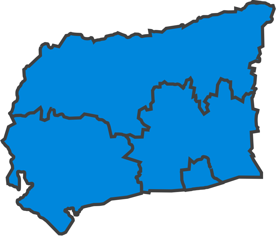 File:WestSussexParliamentaryConstituency1950Results.svg