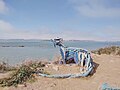 Art in Albany bulb
