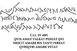 Drawing of a Roman graffito, with the translation "whoever loves, let him flourish, let him perish who knows not love, let him perish twice over whoever forbids love"