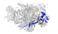 Thumbnail for version as of 14:42, 7 February 2025