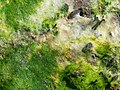 Thumbnail for version as of 16:28, 20 January 2024