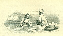 William Harvey, The Story of Abd Allah of the Land and Abd Allah of the Sea