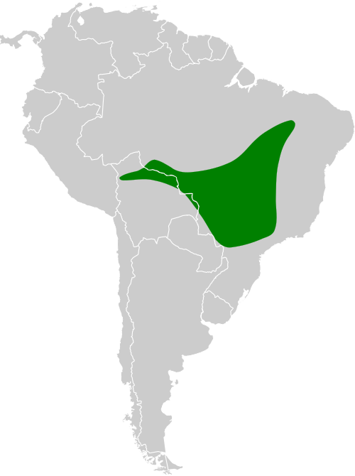 File:Herpsilochmus longirostris map.svg