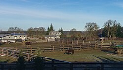 Horse stud farm in Marcelewo (2024)